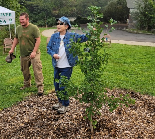 Mike Oxendine and Hideko standing next to the Ginkgo tree